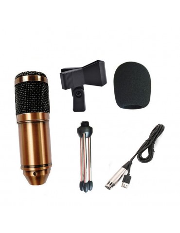 BM 800 microphone for computer professional USB wired studio condenser mic with tripod stand for karaoke pc laptop