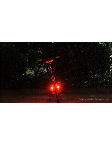 Leadbike 2*LED 2-Mode Bicycle Warning Tail Light (2-Pack)